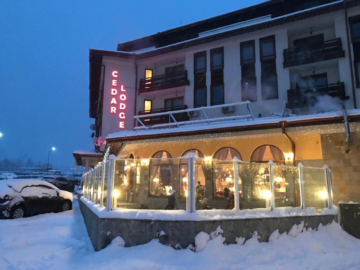 Ski Zone At Gondola, Perfect One Bdrm, Fast Wifi, Netflix, Quiet, Warm バンスコ エクステリア 写真